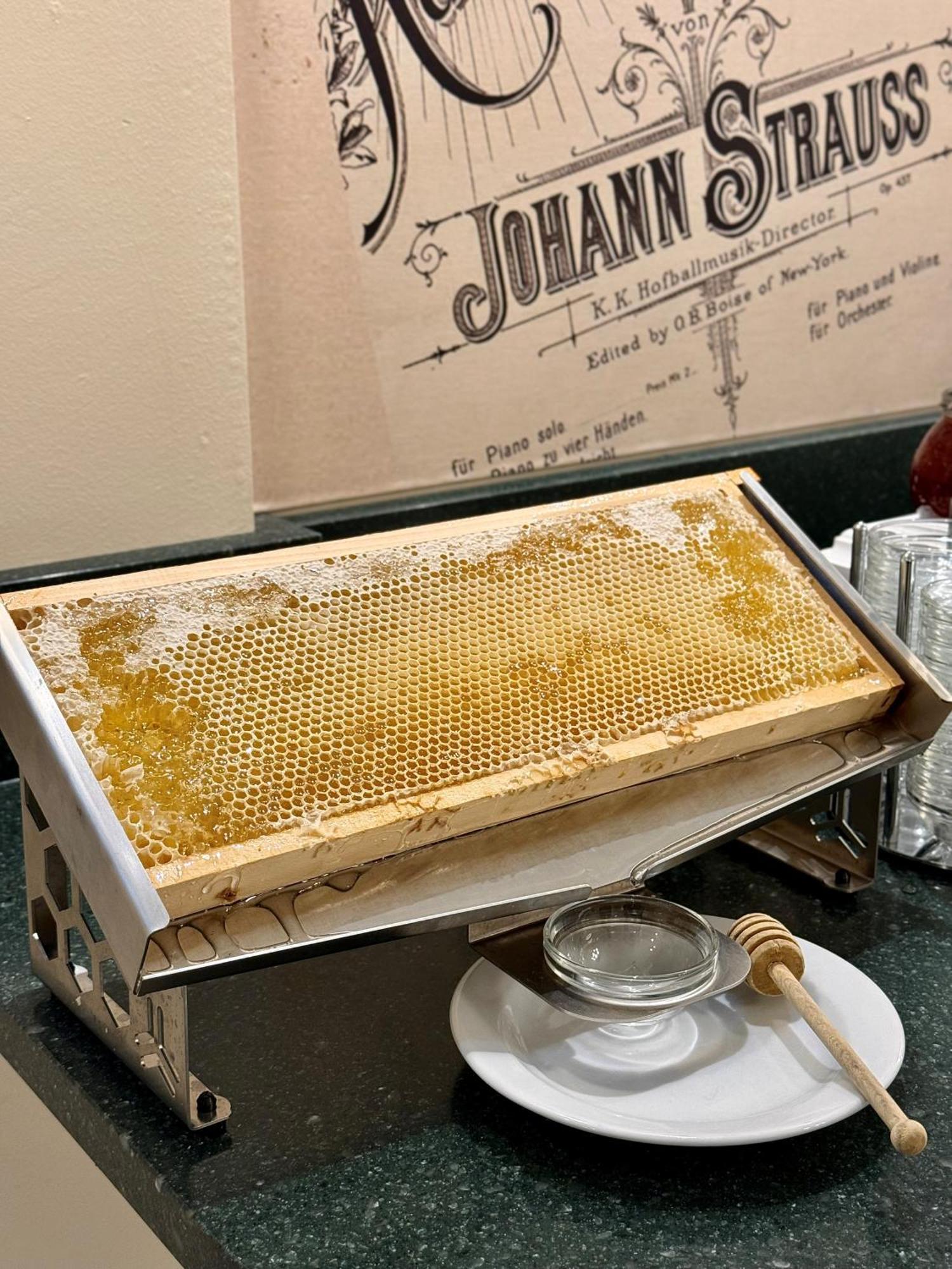 Hotel Johann Strauss Viena